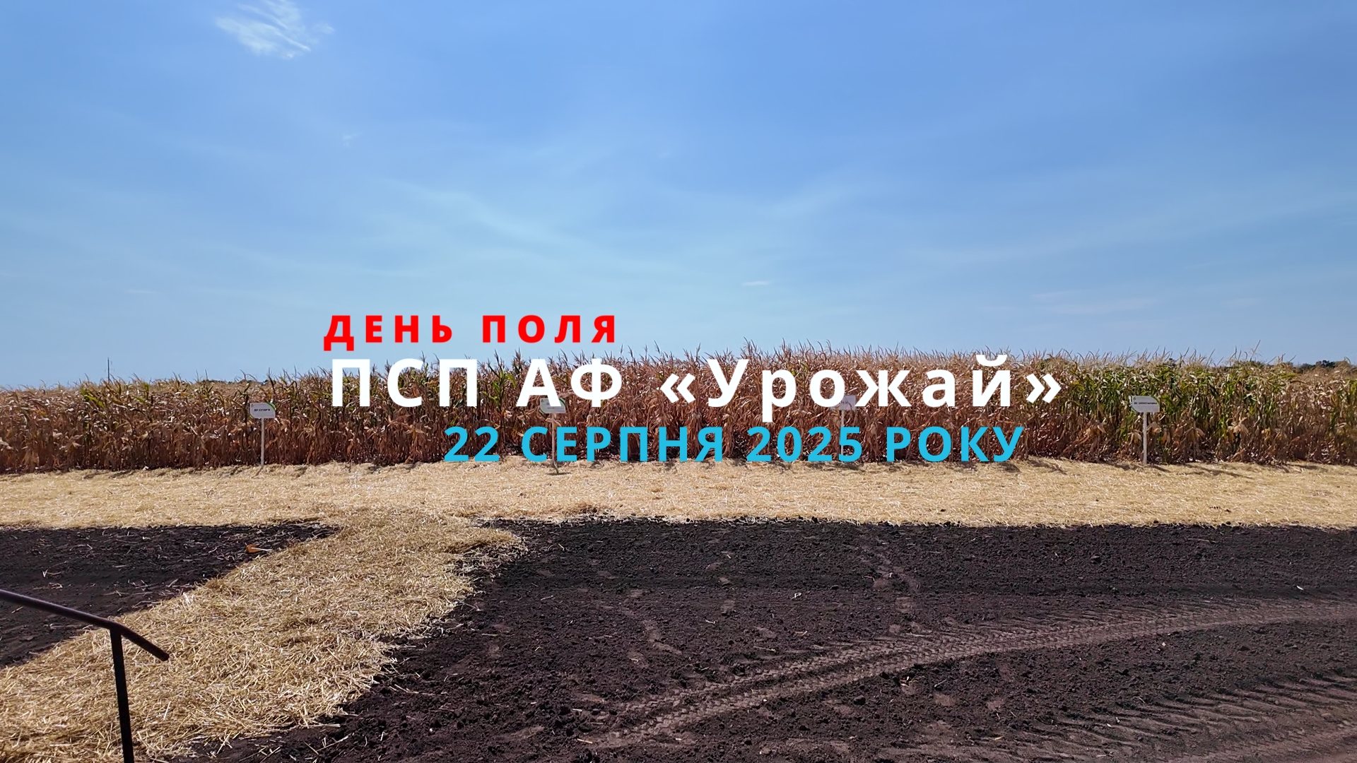 День поля агрофірми “Урожай”