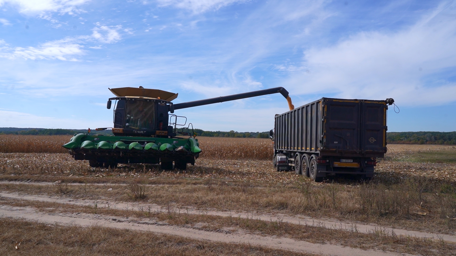 СЕКРЕТИ ВРОЖАЮ КУКУРУДЗИ У 2025 РОЦІ