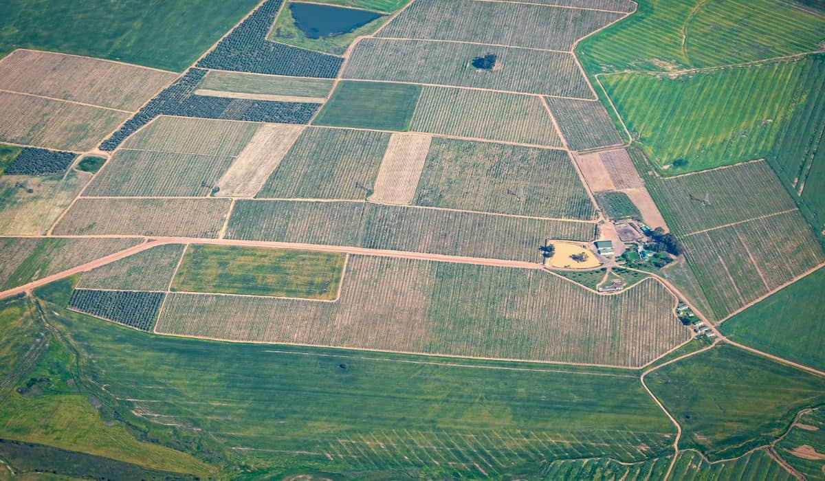 Земельна лихоманка у Кобеляках продовжується