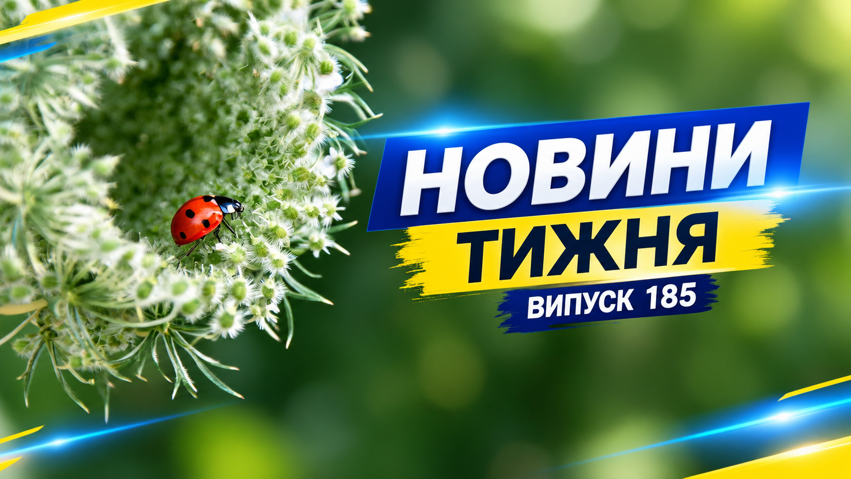 Новини тижня . Випуск 185